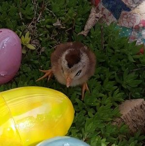 Meet your Posher, Stacy